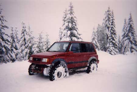 Sidekick in the snow